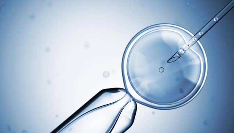 Frequently Asked Questions about Stem Cells