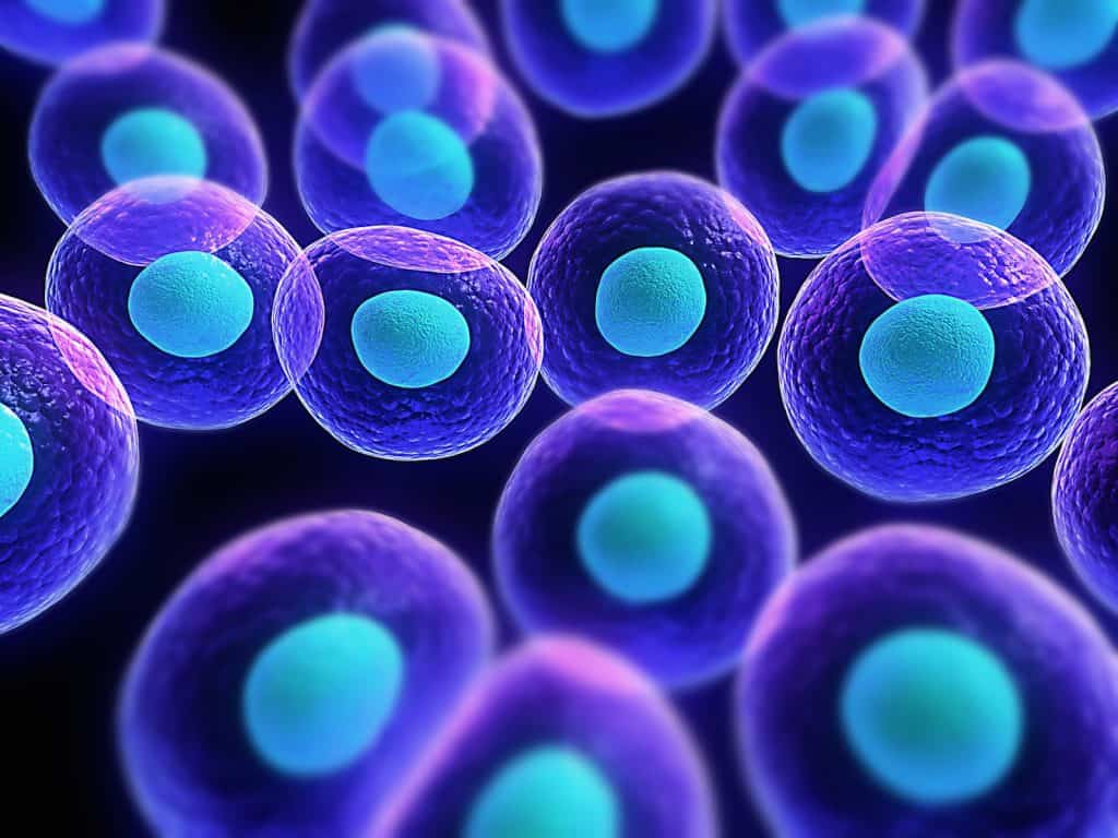 Stem Cell Therapy Cost in Mexico