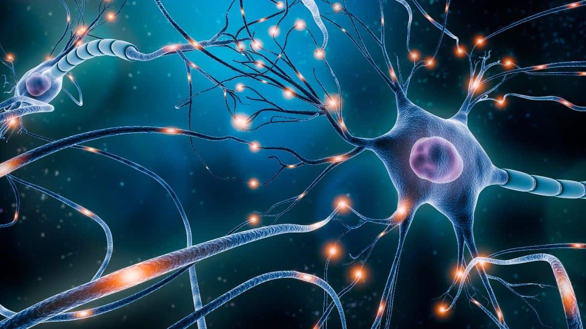 Stem Cell Therapy for Traumatic Brain Injury in Tijuana