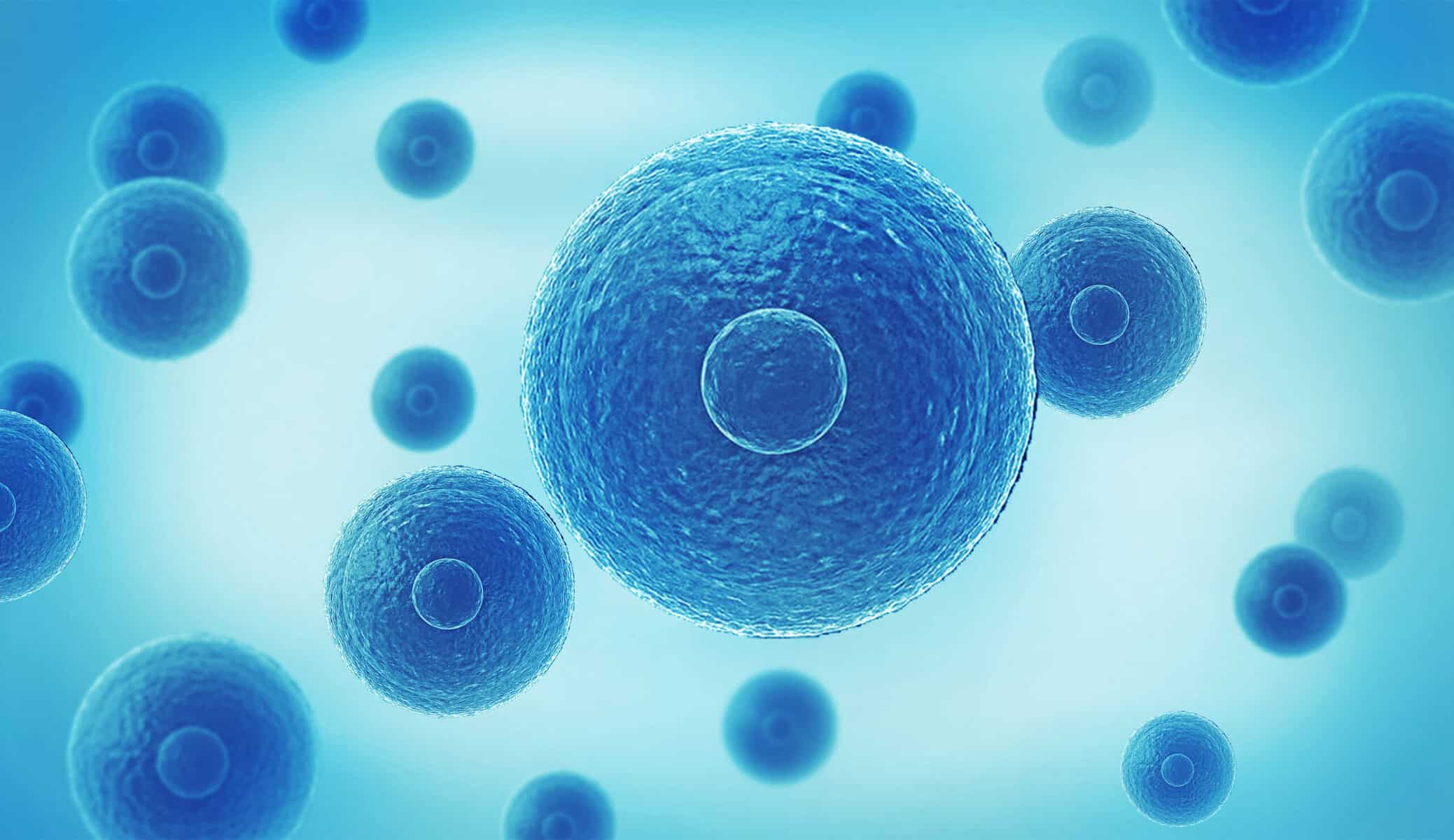 Schedule a Free Consultation with Renovo Health and Beauty
If you’re researching r3 stem cell Tijuana reviews and want clear, honest answers directly from a medical team, Renovo Health and Beauty is here to help. We invite you to fill out our contact form to schedule a free consultation, where we can discuss your condition, treatment options, and pricing tailored specifically to your needs.