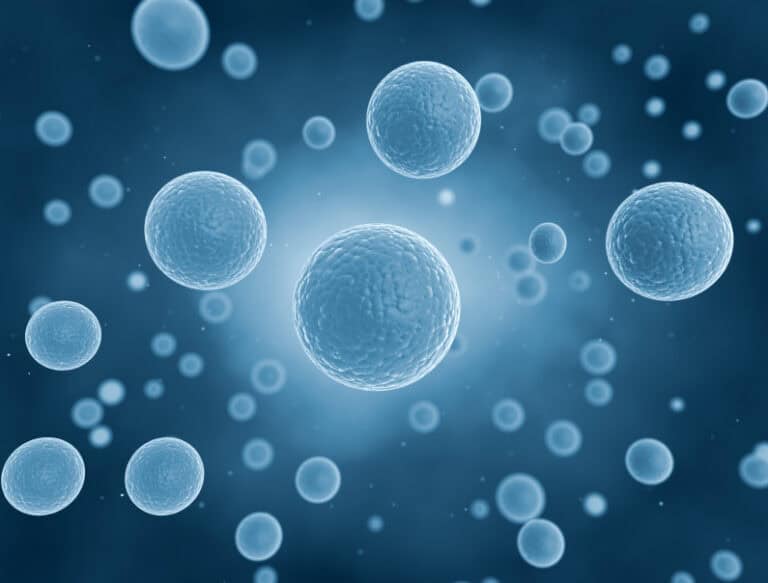 R3 Stem Cell Tijuana Reviews