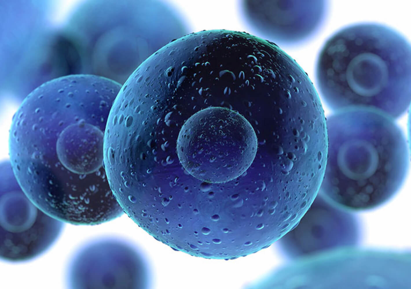 Close-up of blue and purple spherical cells or molecules with textured surfaces, representing biological or medical concepts.