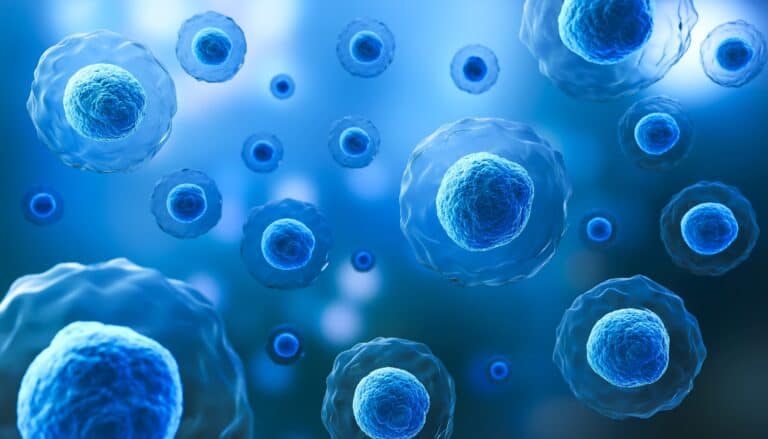 medical tourism Tijuana stem cells 2