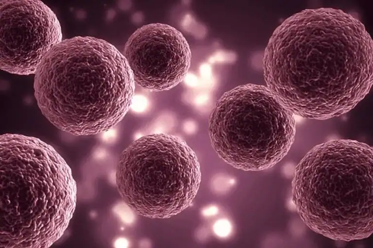 Close-up of stem cells in a laboratory setting, highlighting regenerative medicine potential.