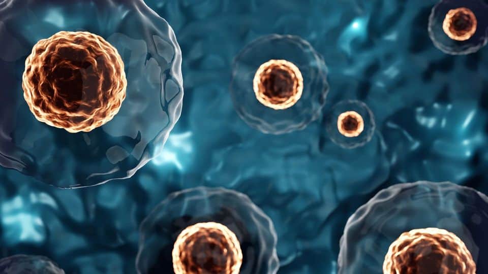 Illustration of stem cells in a laboratory setting, highlighting regenerative medicine options in Tijuana.