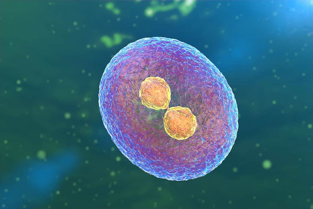 stem cell clinic near San Diego