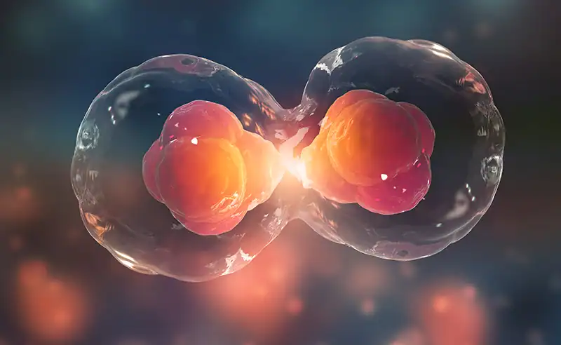 stem cell therapy macular degeneration Tijuana