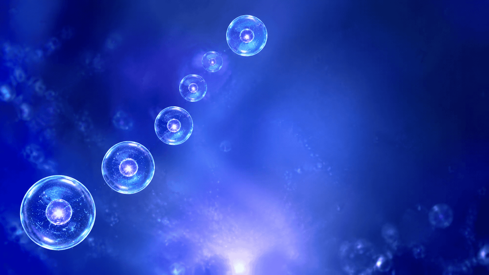Stem Cell Therapy for Herniated Disc Success Rate 2